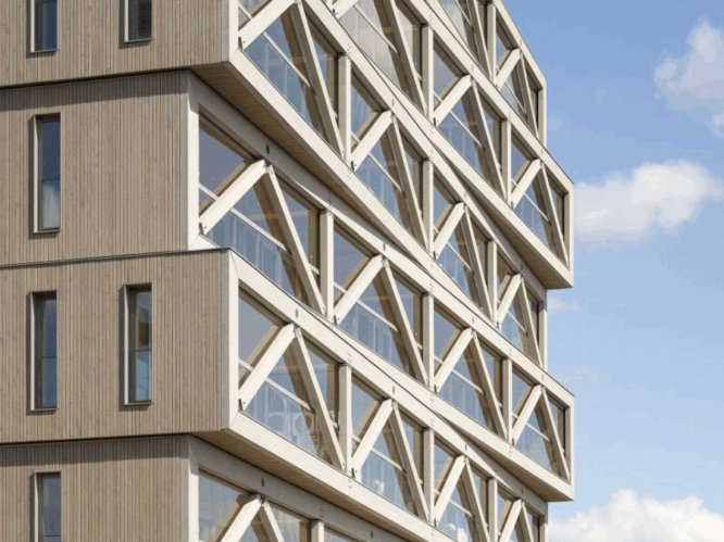 Timber Technologies